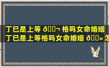 丁巳是上等 🐬 格吗女命婚姻（丁巳是上等格吗女命婚姻 🌻 怎么样）